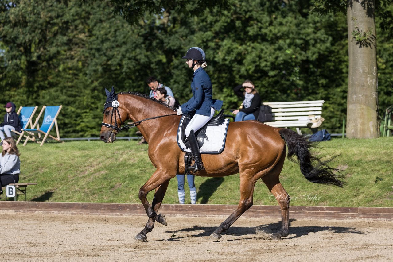 Bild 260 - Pony Akademie Turnier
